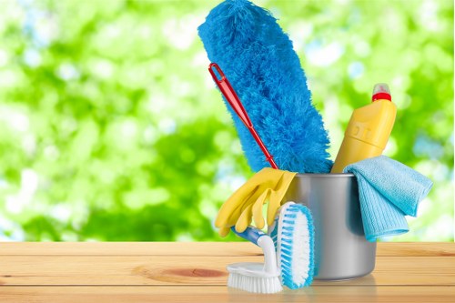 Pet stain cleaning and deodorising for upholstery in Urrey