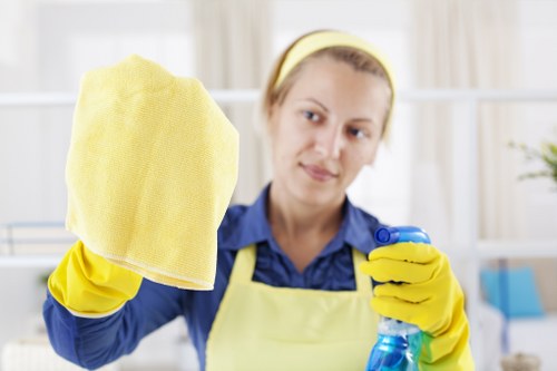 Domestic cleaner working in a Urrey home kitchen