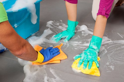Cookies supporting website functionality for Cleaners Urrey