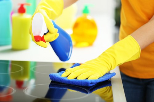 Careful maintenance and polished presentation by Cleaners Urrey