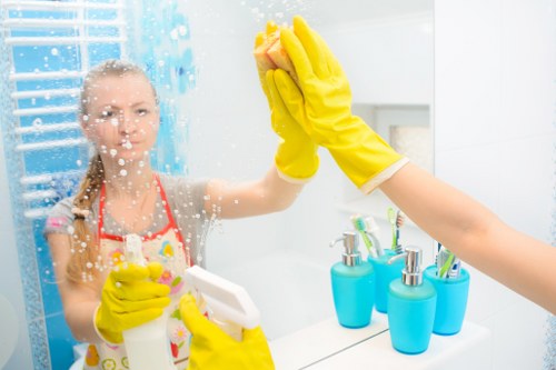 Booking and confirmation details for a professional cleaning appointment