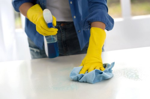 Detailed kitchen and bathroom cleaning during a move in clean