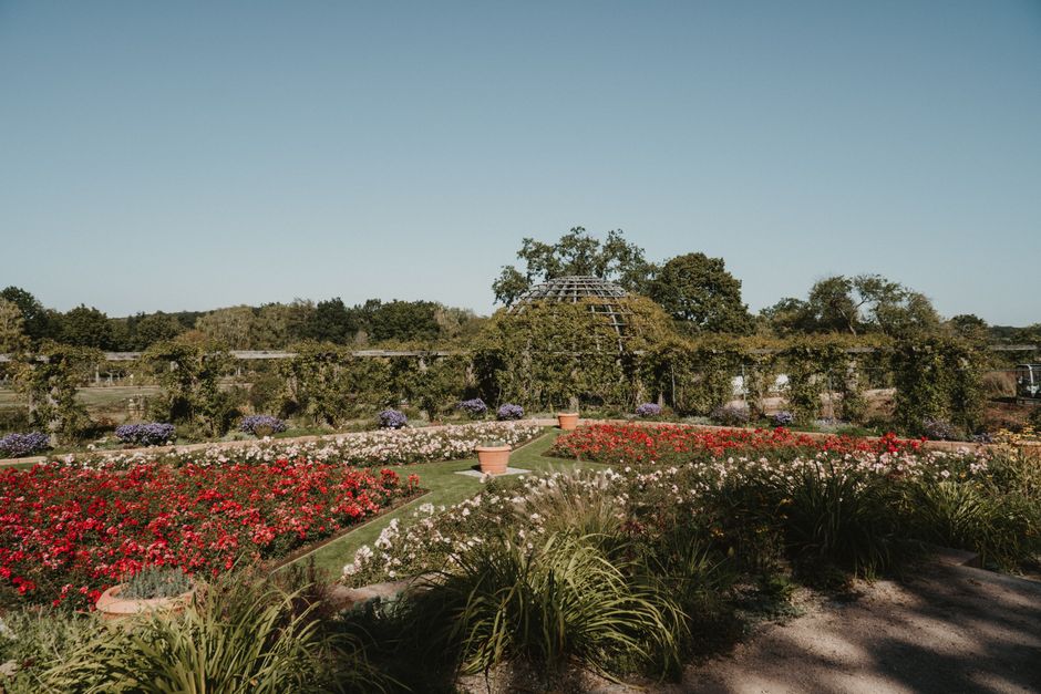 A picturesque view of the RHS Garden Wisley in Surrey, showcasing neatly arranged flower beds with vibrant red, white, and purple blossoms. The garden features a well-maintained grassy pathway bordere